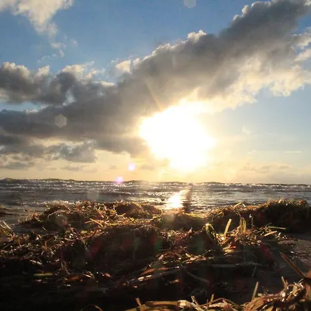 فندق Ostseehotel