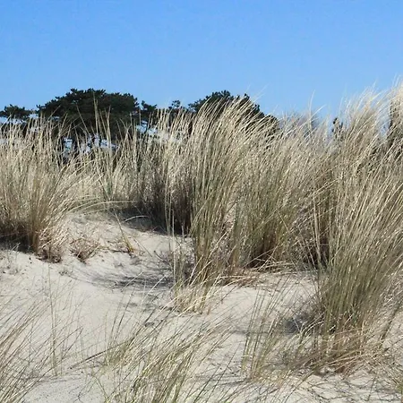 Ostseehotel ديارهاجين