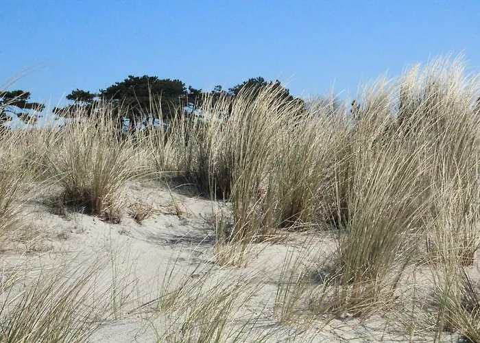 Ostseehotel Dierhagen